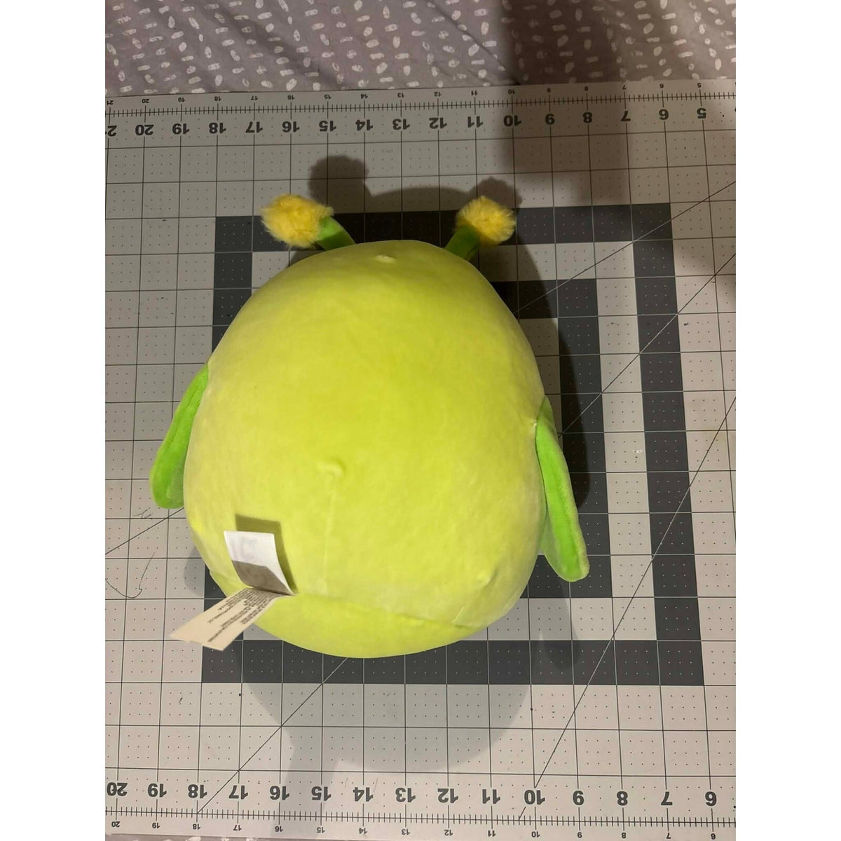 Squishmallows 14” Pilar the Grasshopper Insect Bug Squad 6 Crew Plush KellyToy