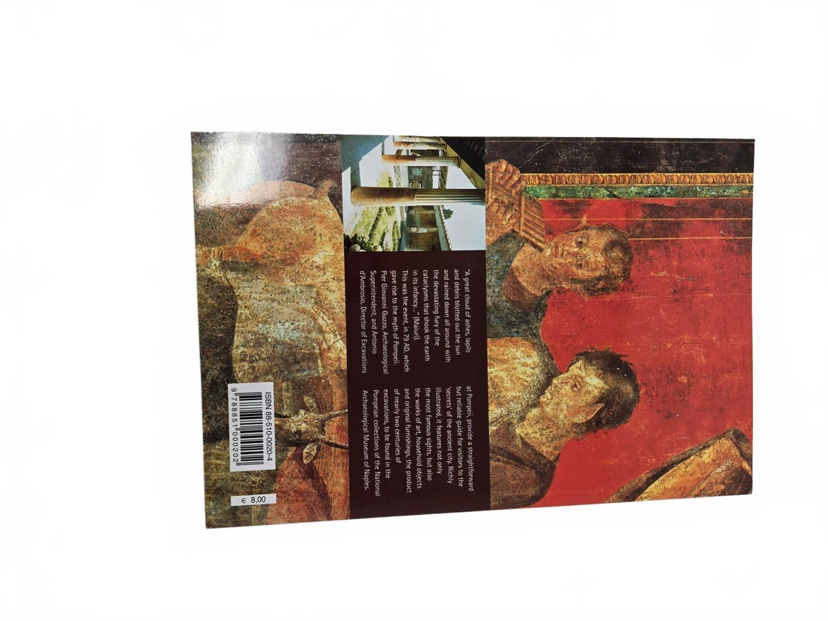 Pompeii book