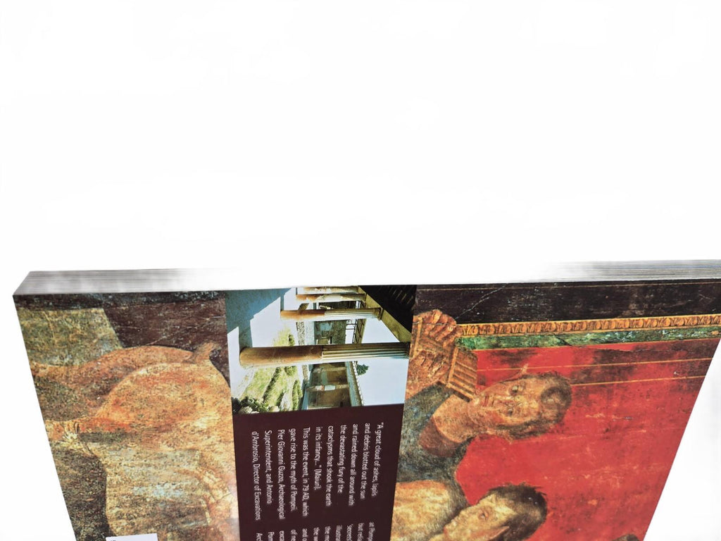 Pompeii book