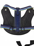 Blue reflective dog harness Ergo Paw NWT