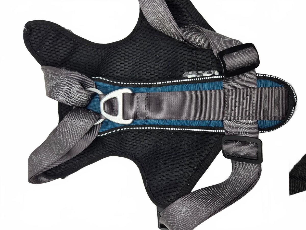 Blue Gray Pet Harness Backpack