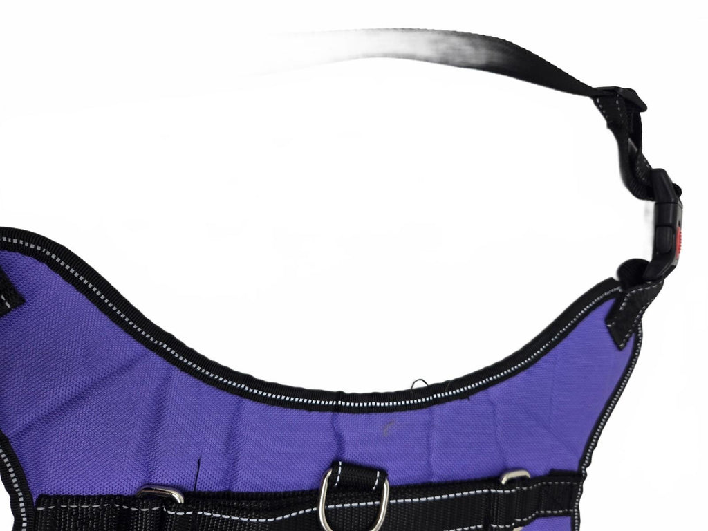 Purple pet harness size L/Xl