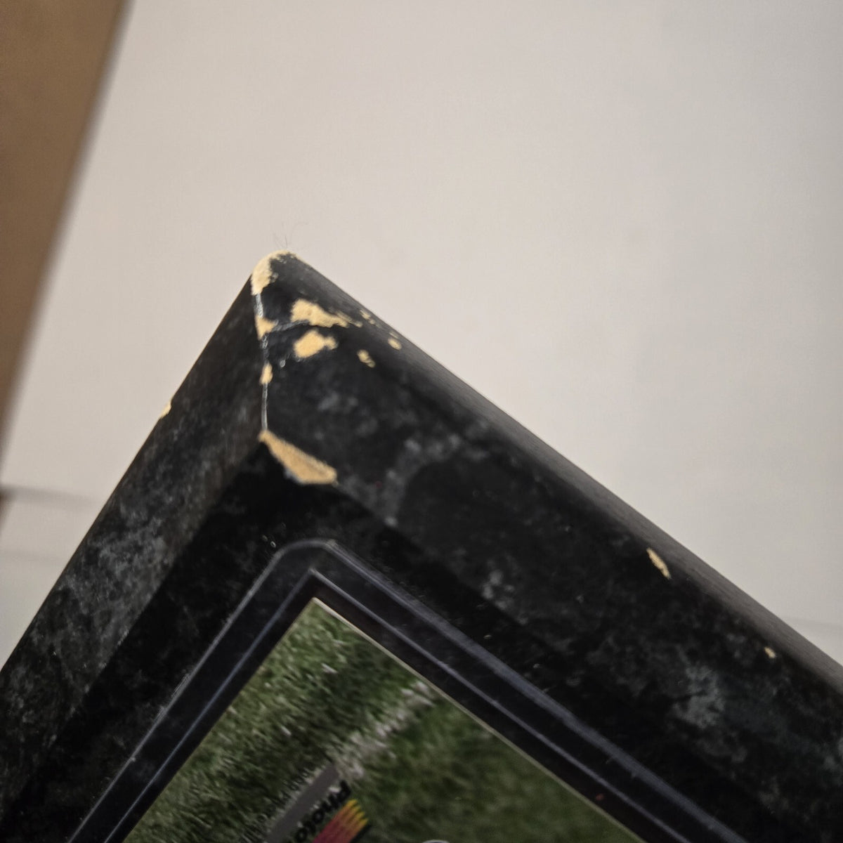 DeSean Jackson Philadelphia Eagles