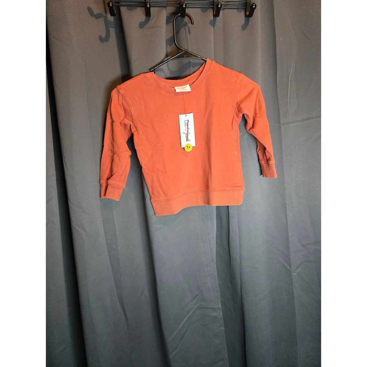 NWT Cat And Jack Boys Crew Neck Sweatshirt Rust orang 3T