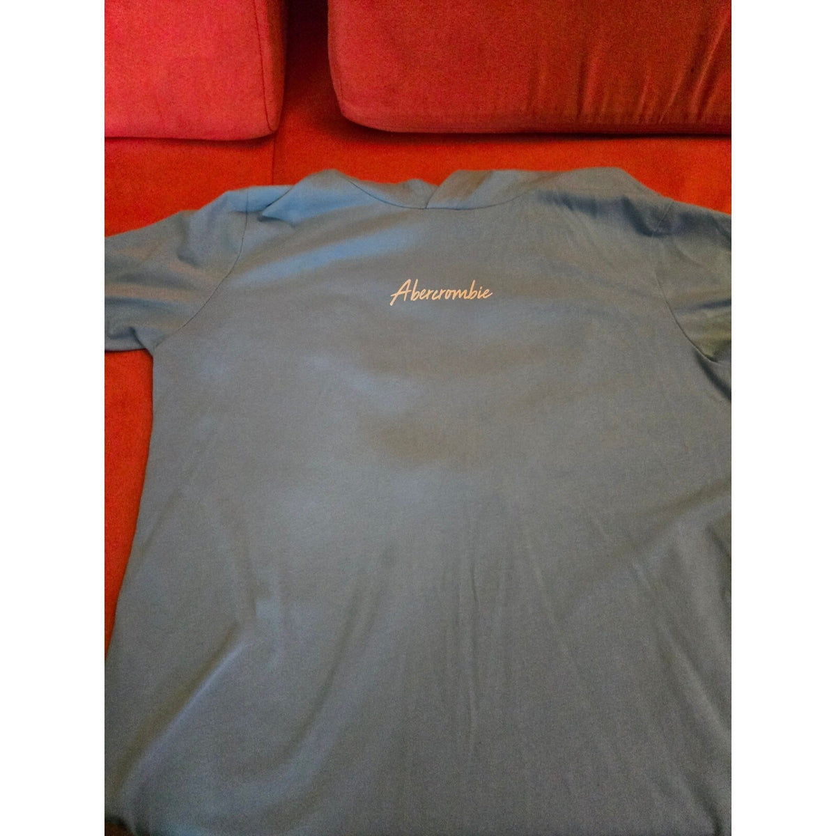 Abercrombie KIds Light Blue Hooded Tshirt Size 11/12