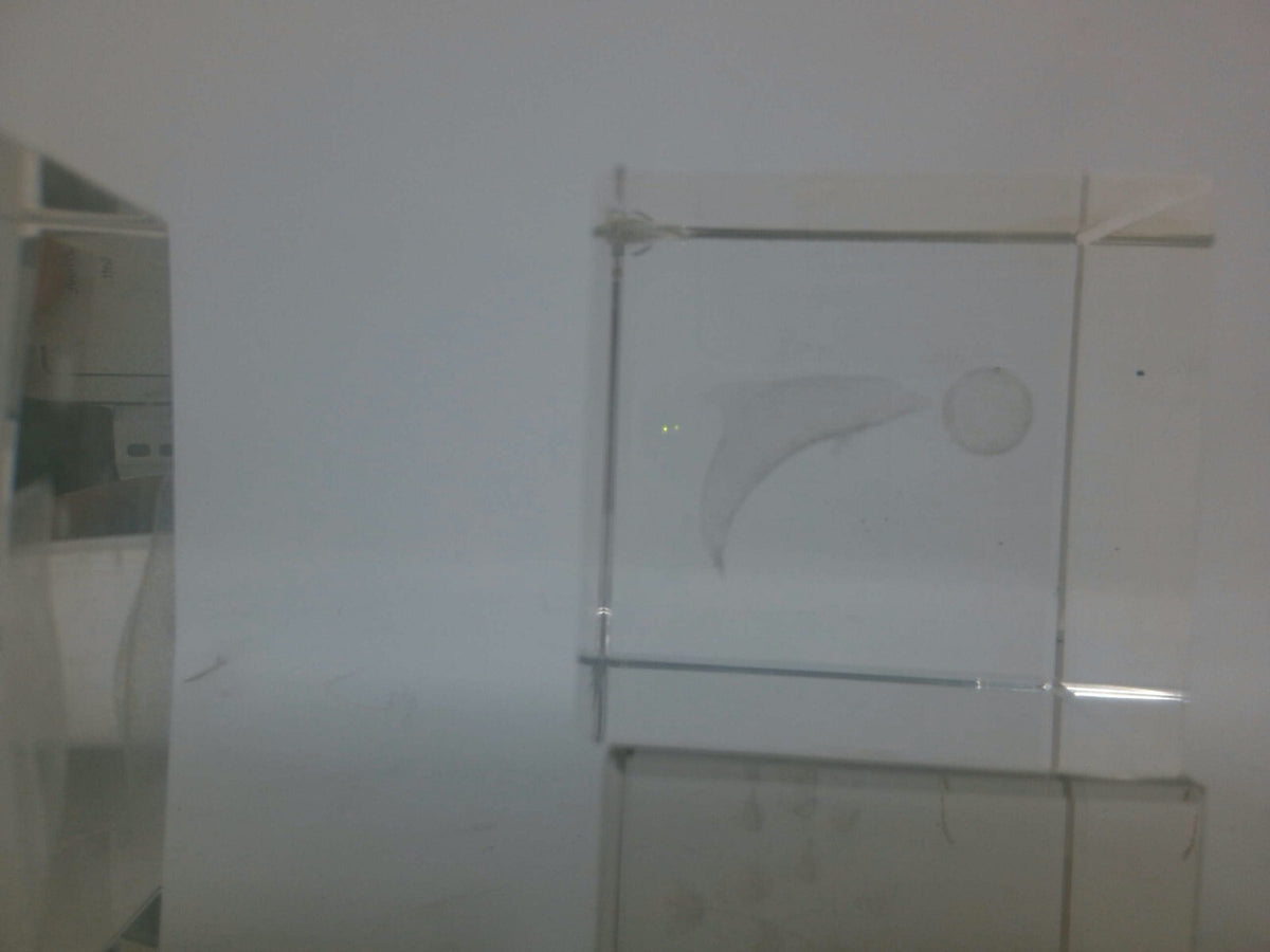 Set of 5 Clear Crystal Animal-Themed Paperweights