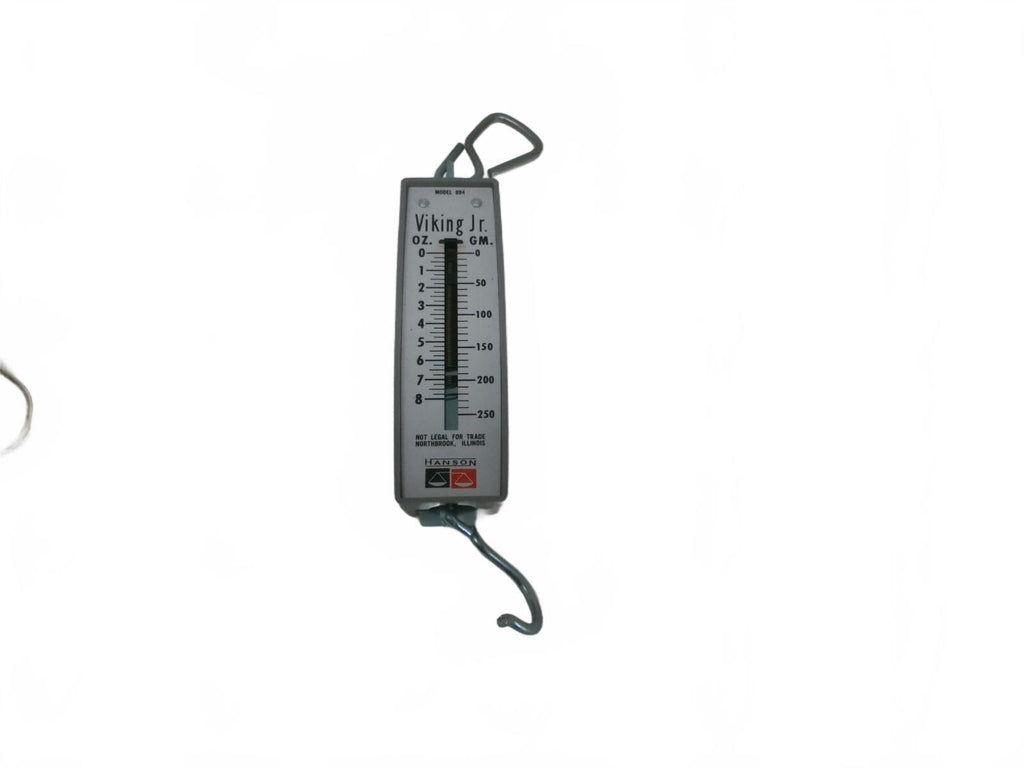 Taylor Viking Jr. Hanging Scale with Hook