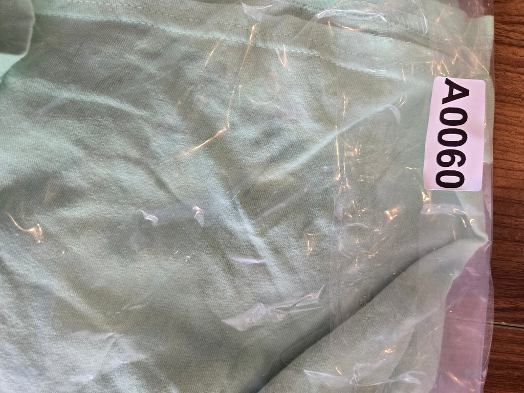 Santa Cruz Skateboards Classic Dot T-Shirt Mint Green Logo Tee YLRG