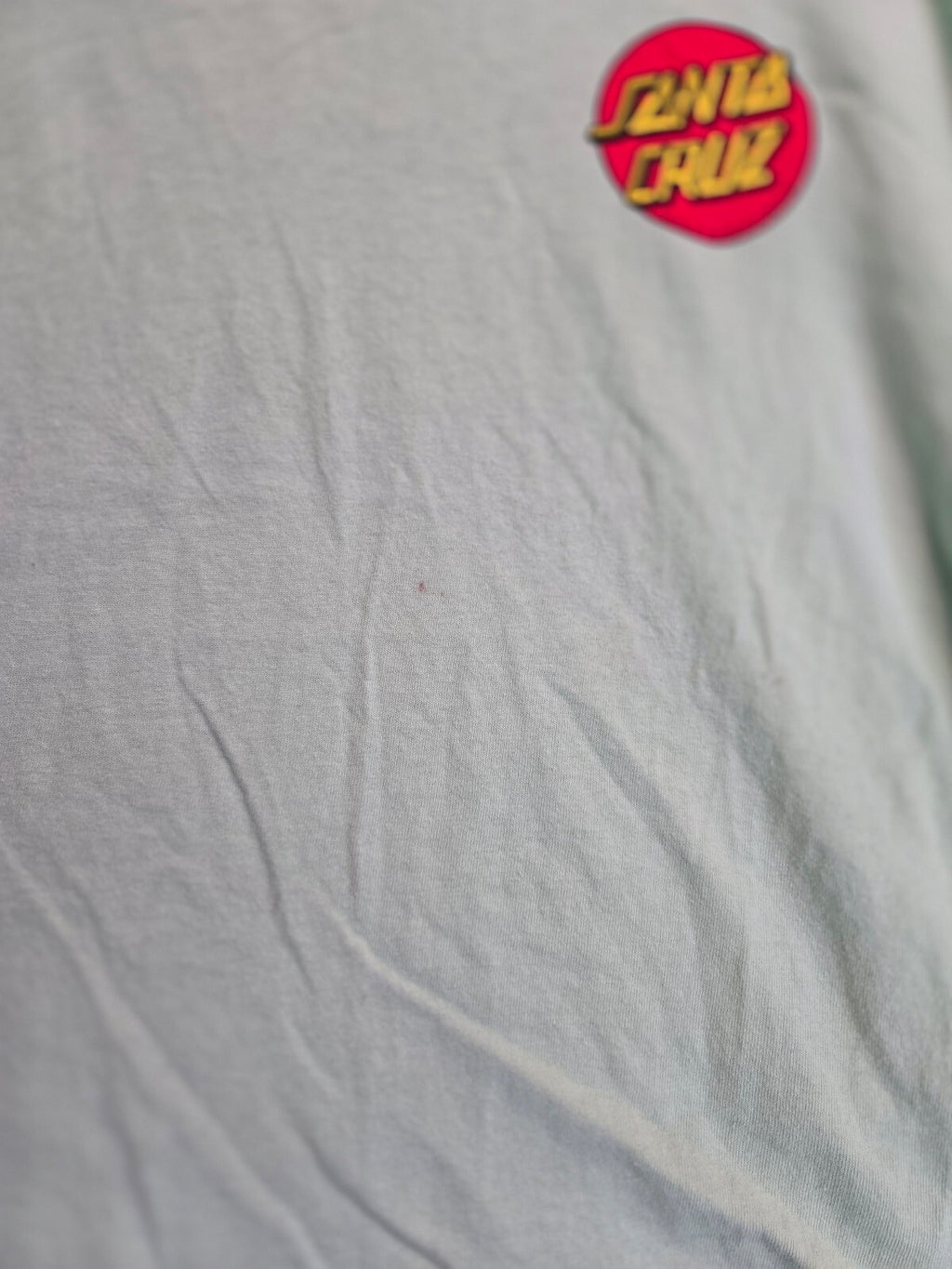 Santa Cruz Skateboards Classic Dot T-Shirt Mint Green Logo Tee YLRG