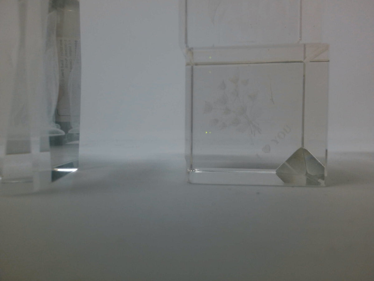 Set of 5 Clear Crystal Animal-Themed Paperweights