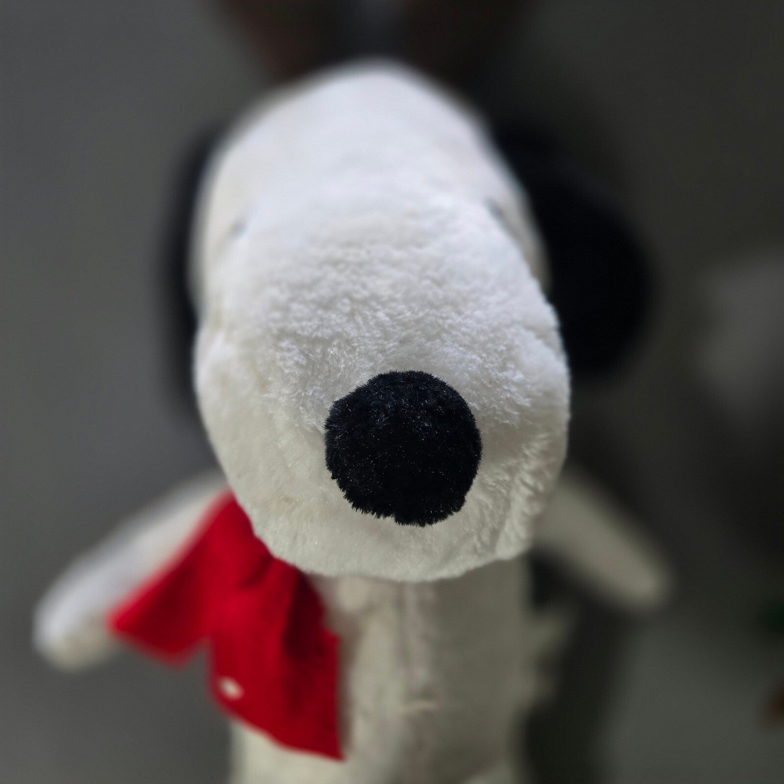Snoopy and Charlie Brown Stuffed animals