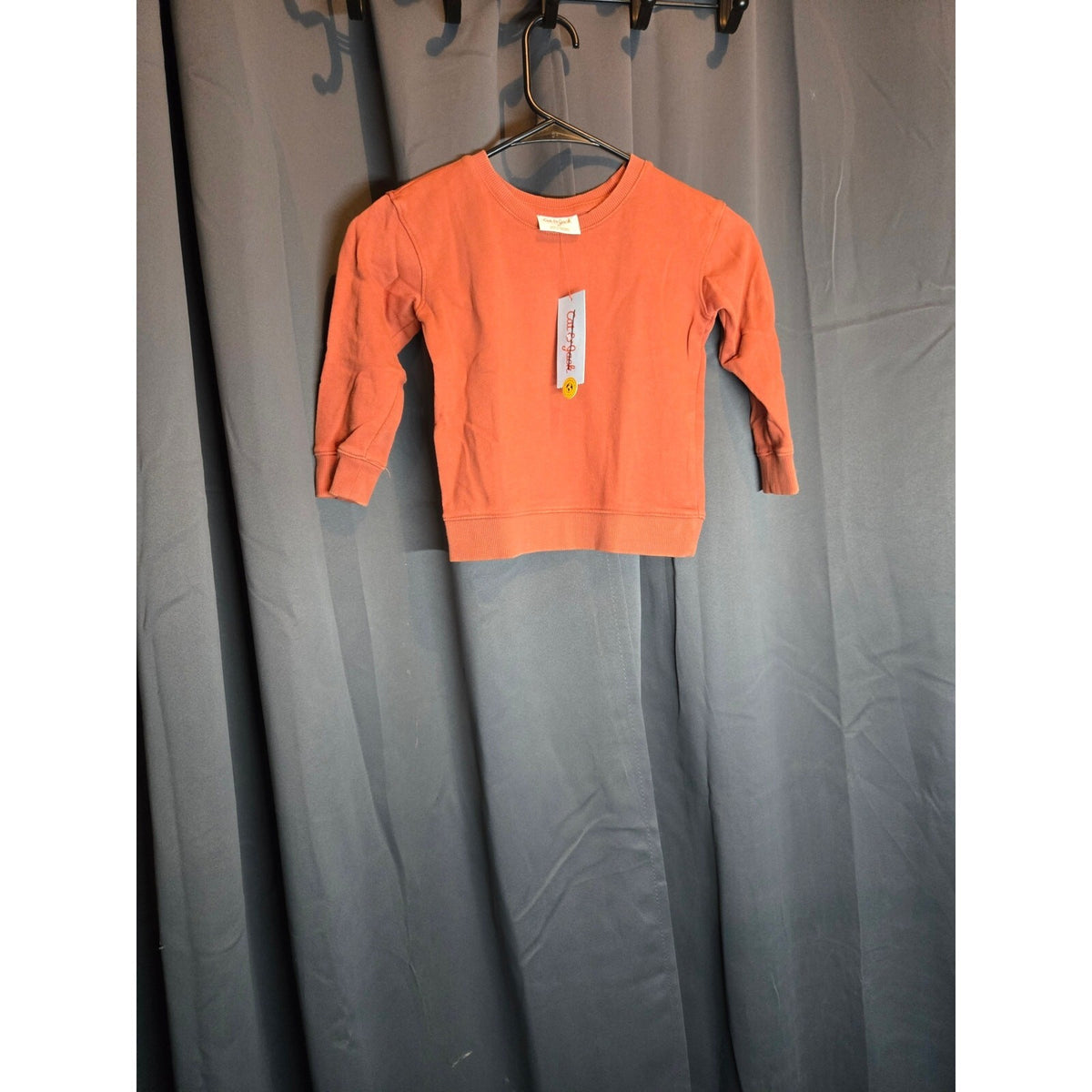 NWT Cat And Jack Boys Crew Neck Sweatshirt Rust orang 3T