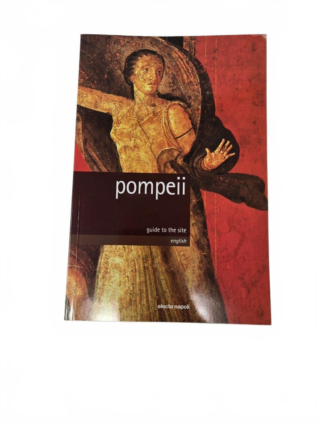 Pompeii book